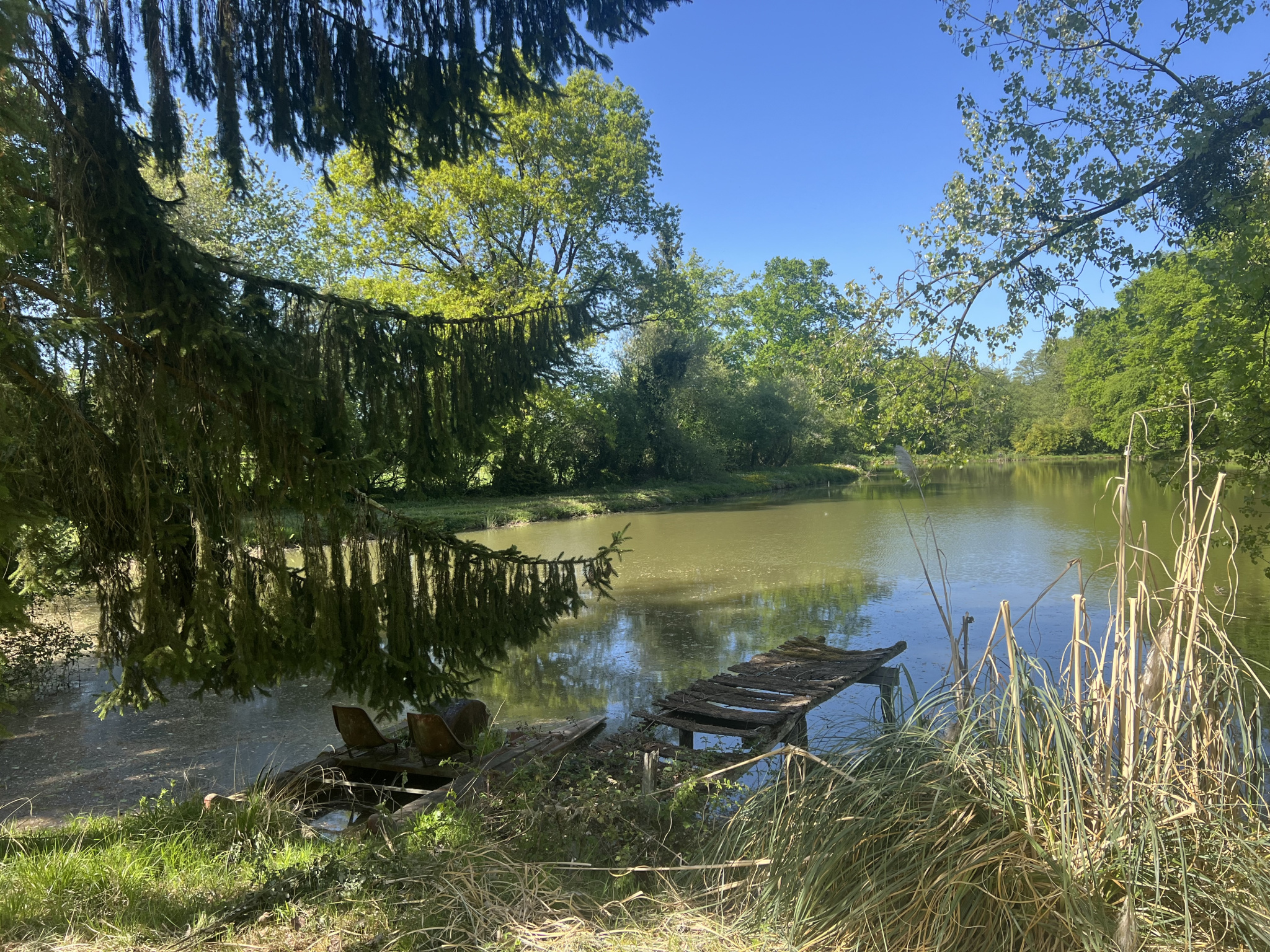 ETANG AVEC TERRAIN VIABILISE